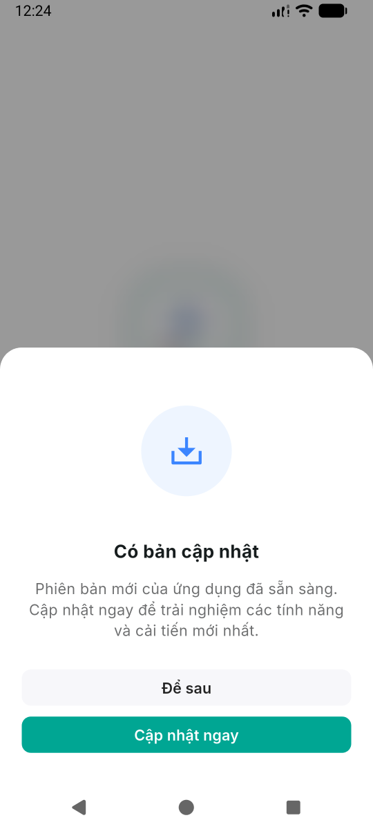 Cập nhật tùy chọn — có nút Để sau